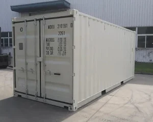 CONTENEDOR MARÍTIMO 20 PIES DRY VAN BLANCO – NUEVO